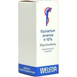 EQUISETUM ARVENSE H 10% eļļains liniments, 50 ml