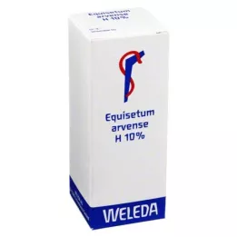 EQUISETUM ARVENSE H 10% eļļains liniments, 50 ml