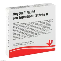 NEYDIL Nr.66 pro injectione St.2 ampulas, 5X2 ml