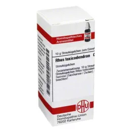RHUS TOXICODENDRON C 6 lodītes, 10 g