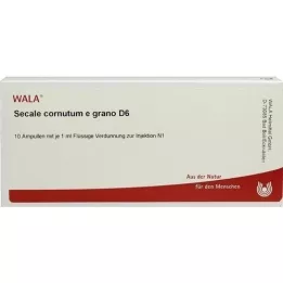 SECALE CORNUTUM E grano D 6 ampulas, 10X1 ml