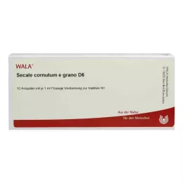 SECALE CORNUTUM E grano D 6 ampulas, 10X1 ml