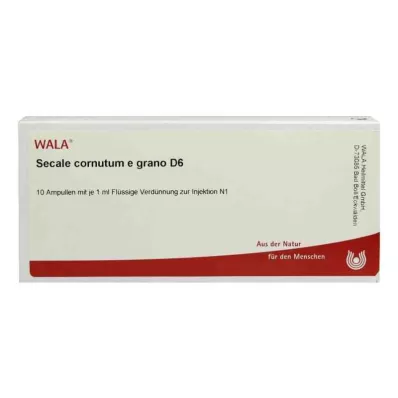 SECALE CORNUTUM E grano D 6 ampulas, 10X1 ml