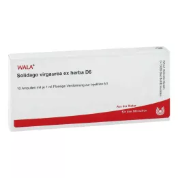SOLIDAGO VIRGAUREA ex herba D 6 ampulas, 10X1 ml