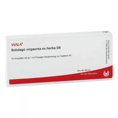 SOLIDAGO VIRGAUREA ex herba D 6 ampulas, 10X1 ml SOLIDAGO VIRGAUREA ex herba D 6 ampulas, 10X1 ml