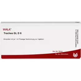 TRACHEA GL D 6 ampulas, 10X1 ml