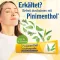 PINIMENTHOL Aukstā ziede Eucal/pine/menta, 100 g