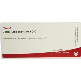 COLCHICUM E planta tota D 30 ampulas, 10X1 ml