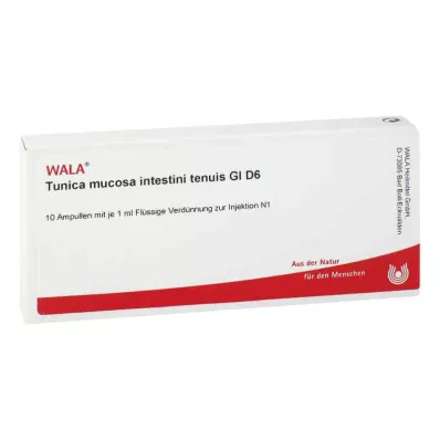 TUNICA mucosa intestini tenuis GL D 6 ampulas, 10X1 ml