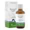 NERVOREGIN pilieni, 50 ml