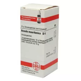 ARUNDO mauritanica D 6 lodītes, 10 g