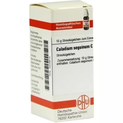 CALADIUM seguinum C 30 globuļu, 10 g