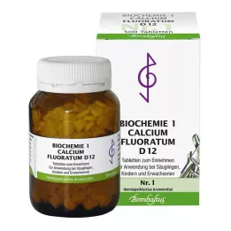 BIOCHEMIE 1 Calcium fluoratum D 12 tabletes, 500 gab