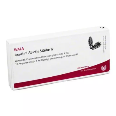 ISCUCIN abietis Cietes G ampulas, 10X1 ml ISCUCIN abietis Cietes G ampulas, 10X1 ml