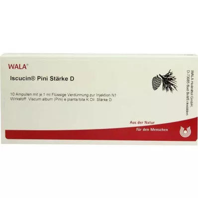 ISCUCIN pini Starch D ampulas, 10X1 ml