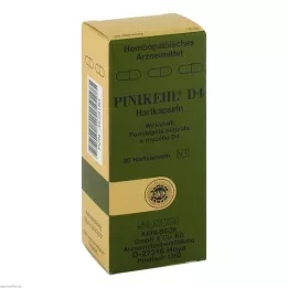 PINIKEHL Kapsulas D 4, 20 gab