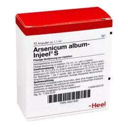 ARSENICUM ALBUM INJEEL S Ampulas, 10 gab