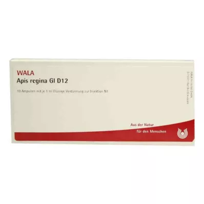 APIS REGINA GL D 12 ampulas, 10X1 ml