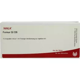 FEMUR GL D 5 ampulas, 10X1 ml