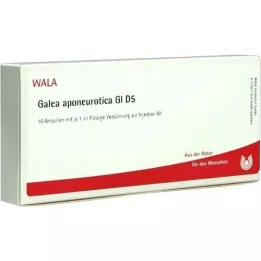 GALEA aponeurotica GL D 5 ampulas, 10X1 ml