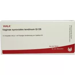 VAGINAE sinoviālais tendīns GL D 5 ampulas, 10X1 ml