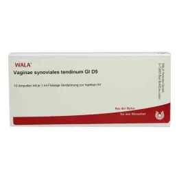 VAGINAE sinoviālais tendīns GL D 5 ampulas, 10X1 ml