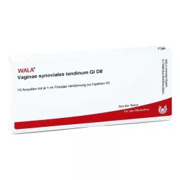 VAGINAE sinoviālais tendīns GL D 8 ampulas, 10X1 ml