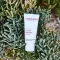 ALOE VERA CREME barotne bez smaržvielām, 30 ml