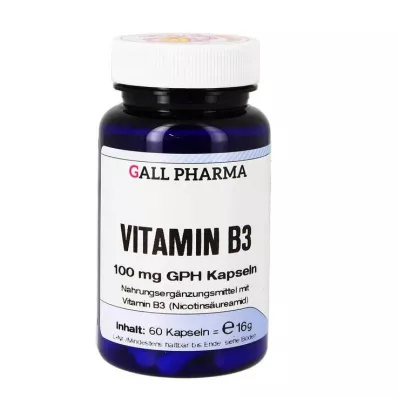 VITAMIN B3 100 mg GPH kapsulas, 60 kapsulas