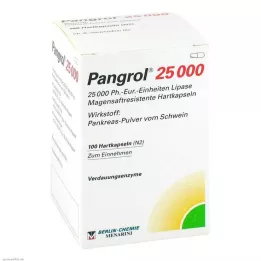 Pangrol 25000 cietās kapsulas ar zarnās šķīstošu apvalku, 100 gab
