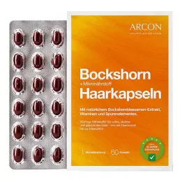 BOCKSHORN+Mikroelementi matu kapsulas Tisane plus, 60 gab
