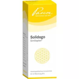 SOLIDAGO SIMILIAPLEX pilieni, 50 ml