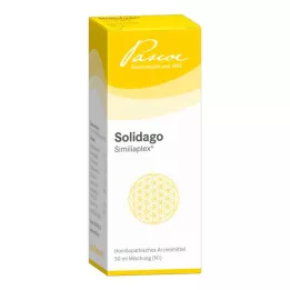Solidago Similiaplex pilieni (50 ml)