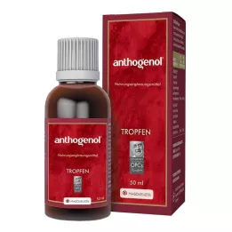 ANTHOGENOL Masquelier OPC pilieni, 50 ml