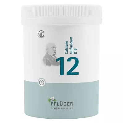 BIOCHEMIE Pflüger 12 Calcium sulfuricum D 6 tabletes, 1000 gab BIOCHEMIE Pflüger 12 Calcium sulfuricum D 6 tabletes, 1000 gab