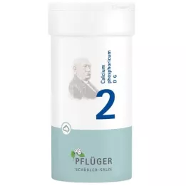 BIOCHEMIE Pflüger 2 Calcium phosphoricum D 6 pulveris, 100 g