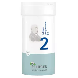 BIOCHEMIE Pflüger 2 Calcium phosphoricum D 6 pulveris, 100 g