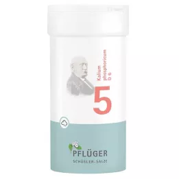 BIOCHEMIE Pflüger 5 Potassium phosphoricum D 6 pulveris, 100 g