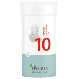 BIOCHEMIE Pflüger 10 Natrium sulfuricum D 6 pulveris, 100 g