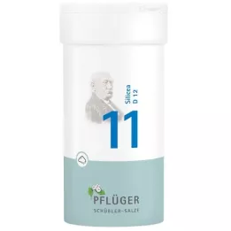 BIOCHEMIE Pflüger 11 Silicea D 12 pulveris, 100 g