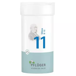 BIOCHEMIE Pflüger 11 Silicea D 12 pulveris, 100 g
