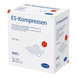 ES-KOMPRESSEN sterili 5x5 cm 12x beramā iepakojumā, 20X5 gab