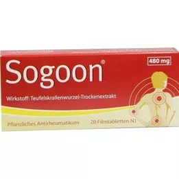 SOGOON 480 mg apvalkotās tabletes, 20 gab