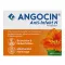 ANGOCIN Anti Infekt N apvalkotās tabletes, 100 gab