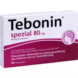 TEBONIN īpašas 80 mg apvalkotās tabletes, 60 gab