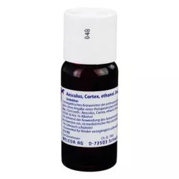 Aesculus Cortex äth.Decoct.D 1 Atšķaidījums, 50 ml