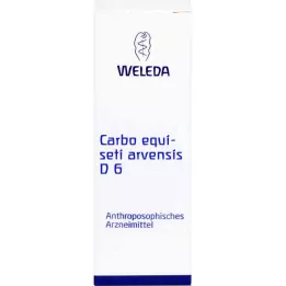 Carbo Equiseti arvensis D 6 Trituration, 20 g