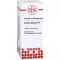 ACTAEA SPICATA D 6 atšķaidījums, 20 ml