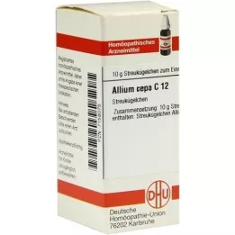 ALLIUM CEPA C 12 bumbiņas, 10 g