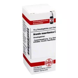 ARUNDO mauritanica C 30 bumbiņas, 10 g